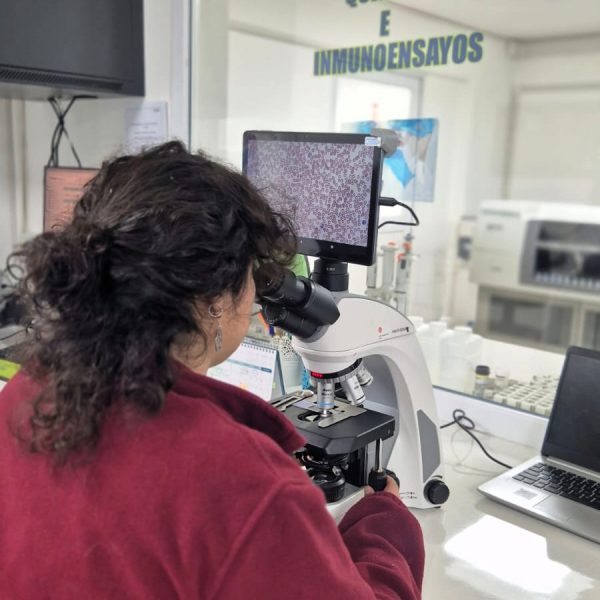hematologia1